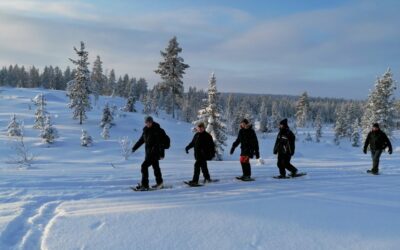 Schneeschuh & Skiwandern