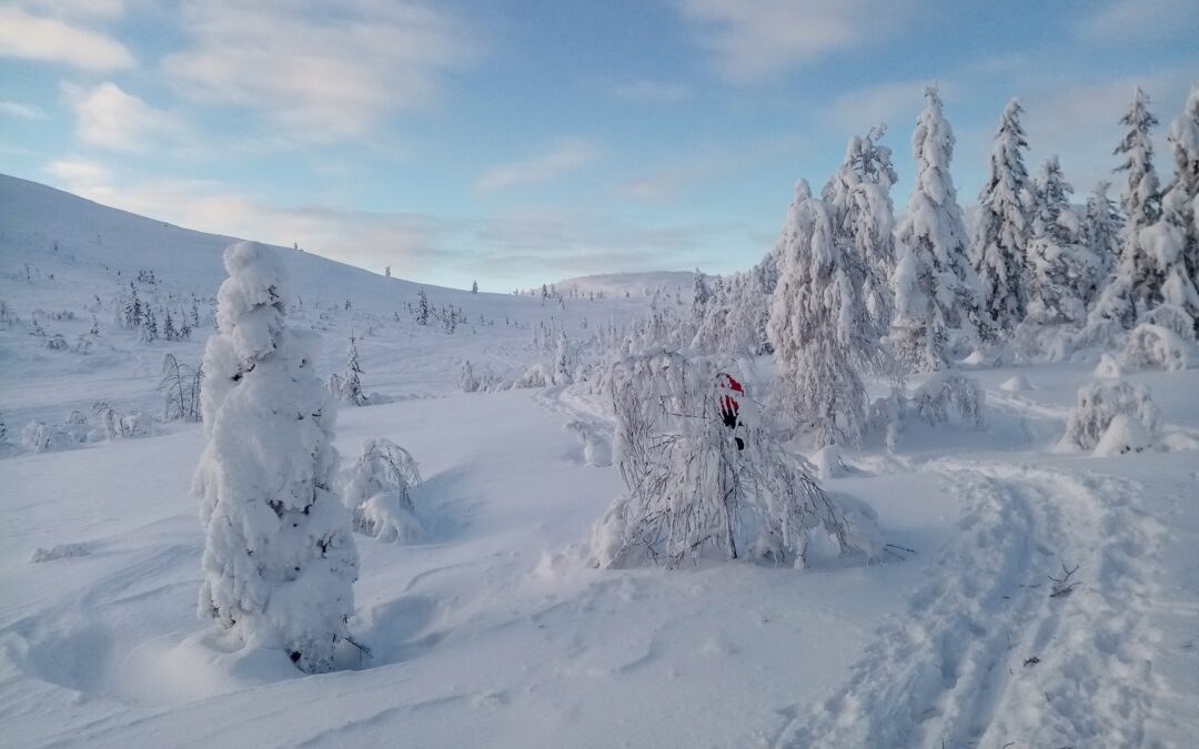 Lappland Winterabenteuer