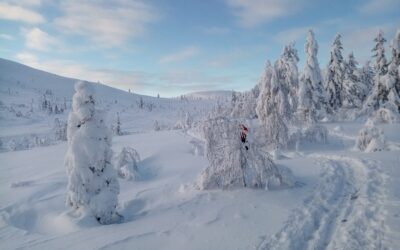 Lappland Winterabenteuer