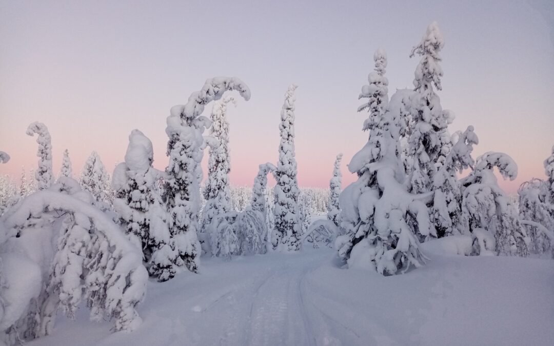 Festtage in Lappland