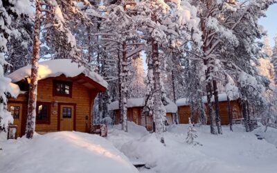 Waldhütten und Cottages