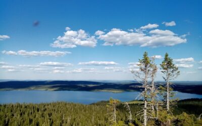 Lappland-Sommer erleben