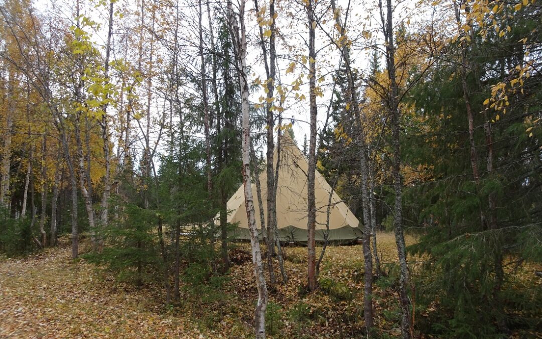 Tipi im Wald oder am See