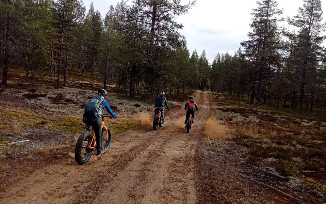 FatbikeErlebnis in Schwedisch Lappland